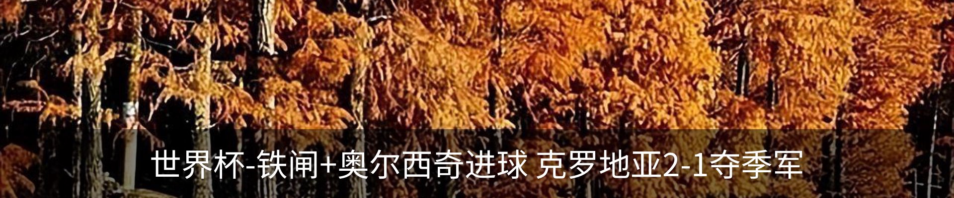 内页banner