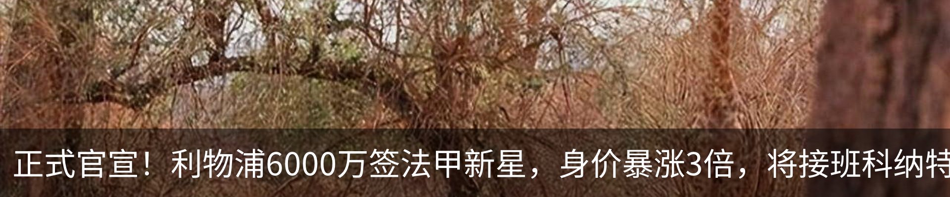 内页banner