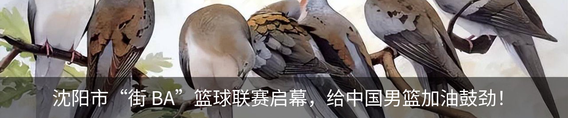 内页banner